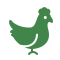 Image of a chicken icon