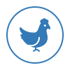 Image of the Poultry & Animal Health section icon
