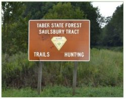 Taber State Forest