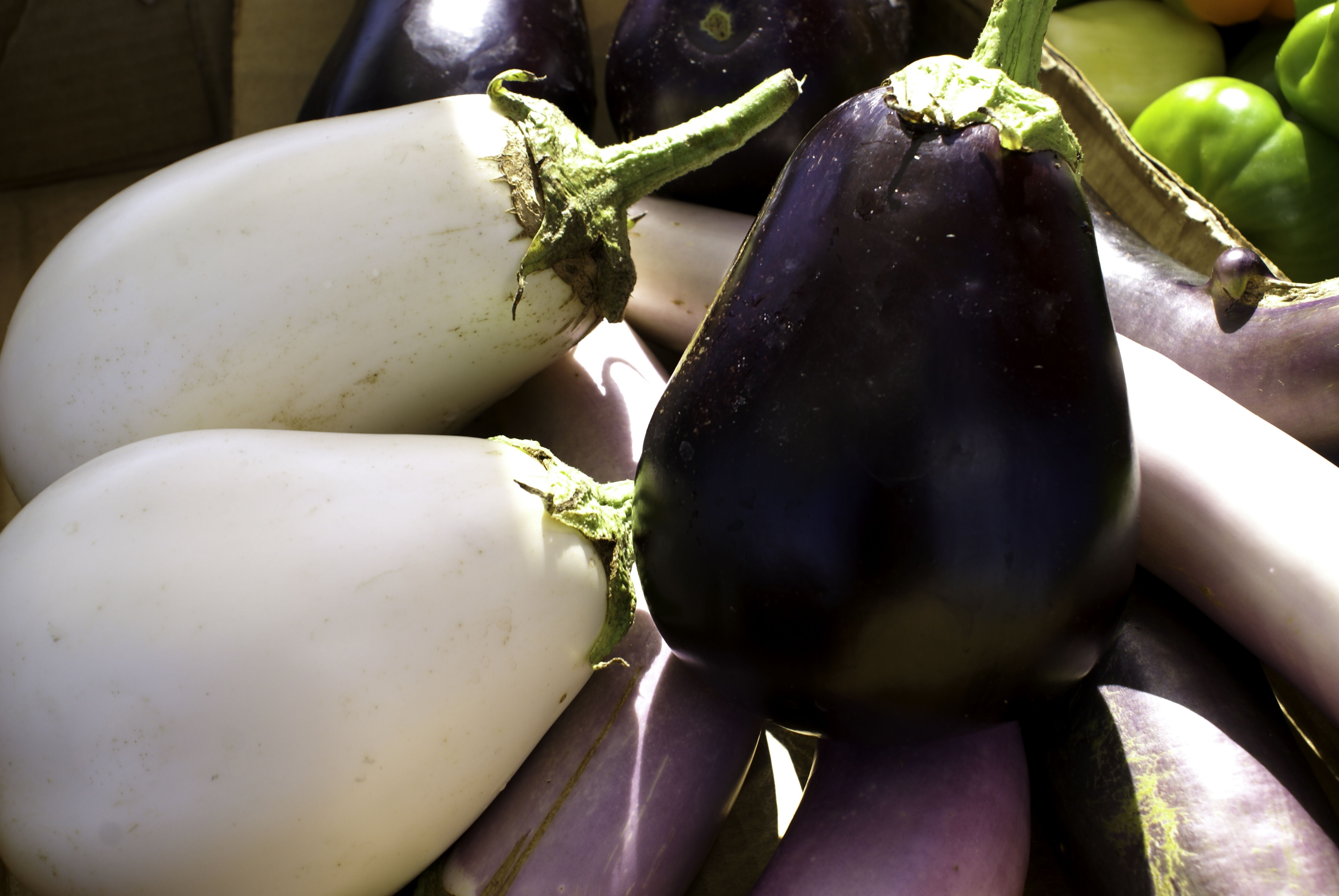 Specialty Crop Block Grant Program - Delaware Department of Agriculture ...