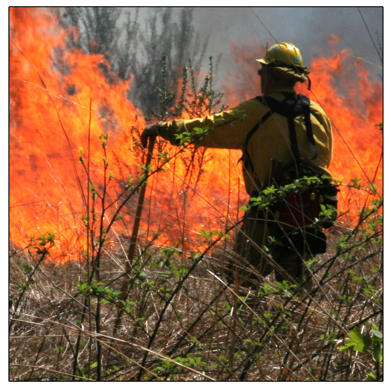 Wildland Fire Program Delaware Department Of Agriculture State Of Delaware 5908