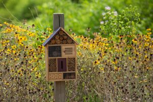 Native bee house containing native bee nesting materials in a pollinator habitat surrounded by wildflowers.