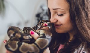 young woman holding ball python snake