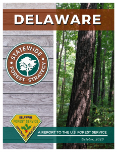 Delaware Statewide Forest Strategy