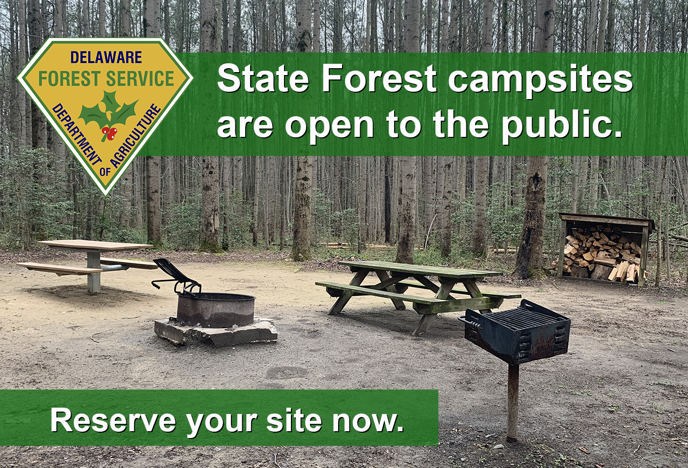 State Forest camping now open