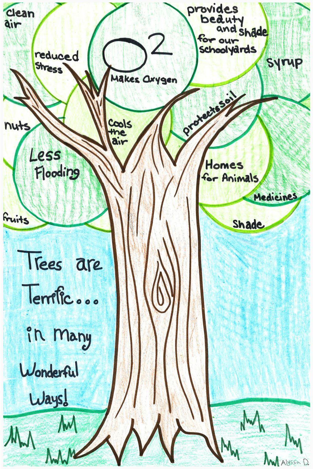 Arbor Day Poster Contest Delaware Department of Agriculture State
