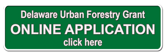 2023 UCF Grant Application Link