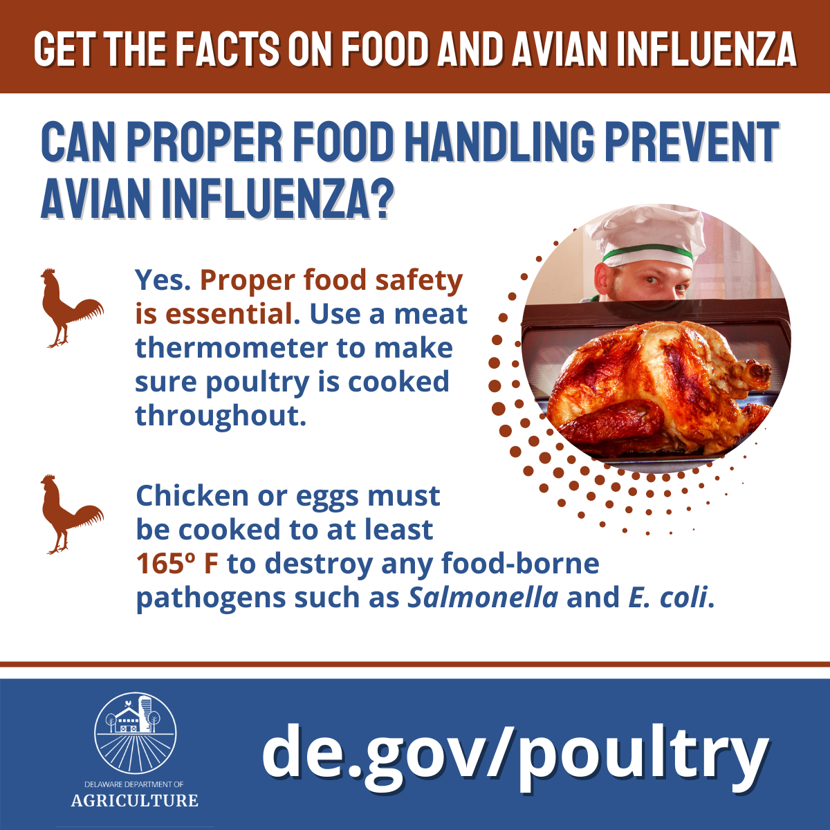 Instagram Graphic: Protecting Backyard Flocks From Avian Influenza, tips for backyard flock owners, warning signs, and how it is transmitted in birds