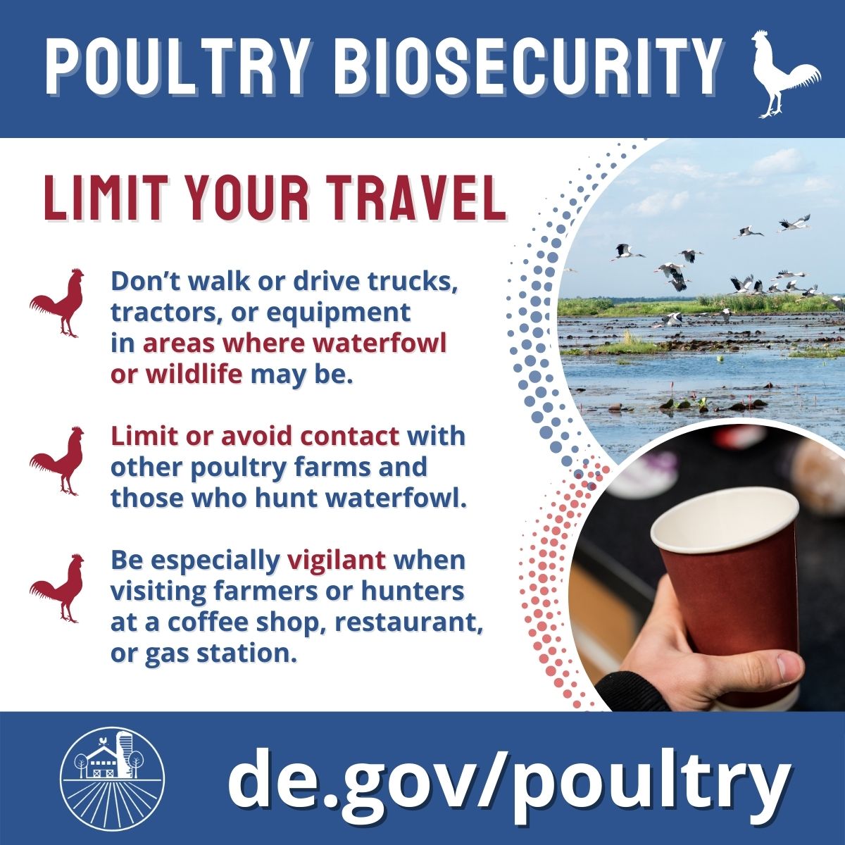 High Path Avian Influenza Confirmed In Black Vultures, Poultry Producers  Encouraged To Take Precautions - State of Delaware News