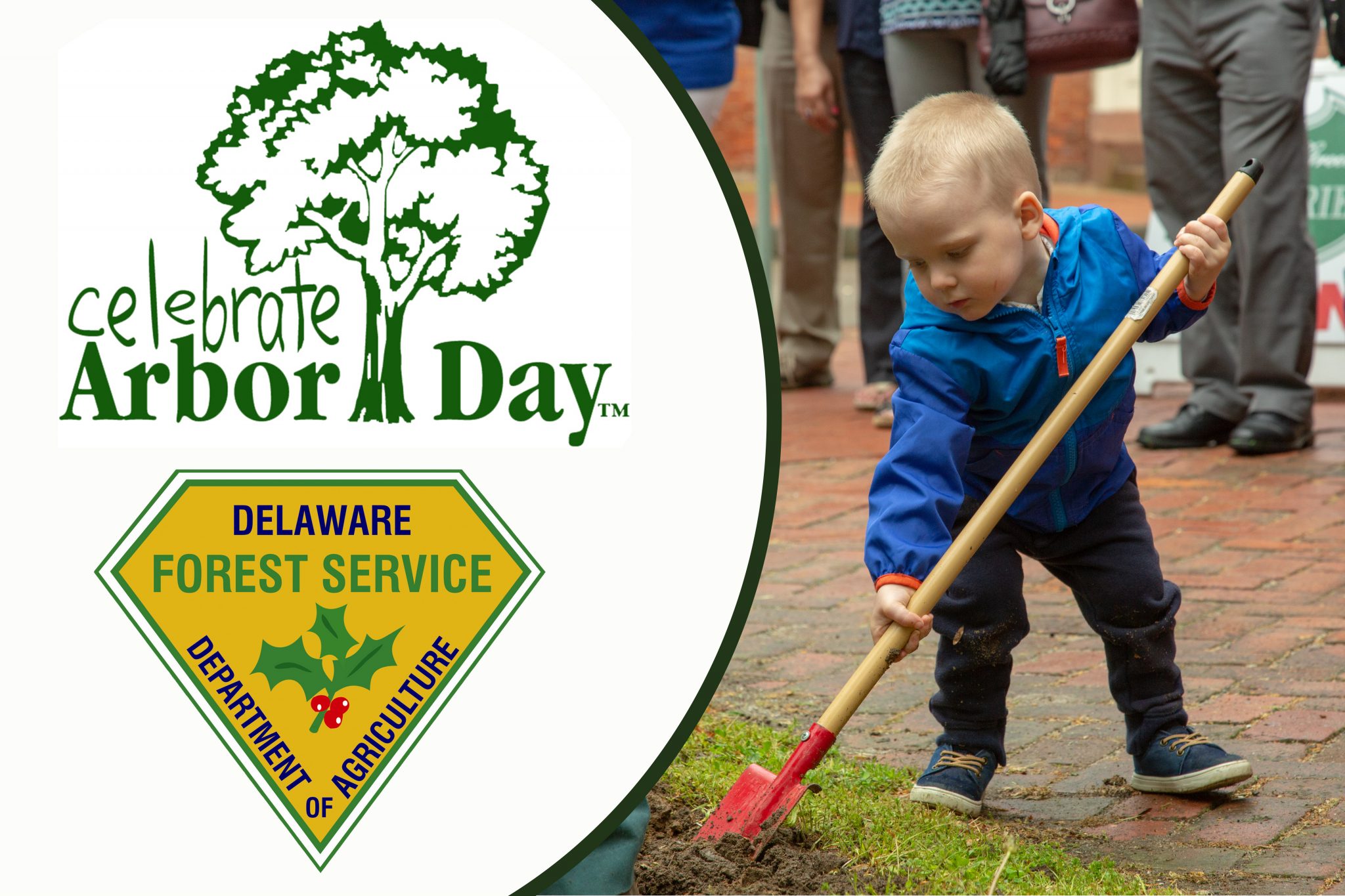 Forestry Education Delaware Department of Agriculture State of Delaware