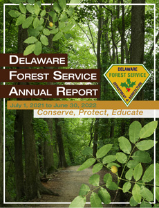 DFS FY22 Annual Report