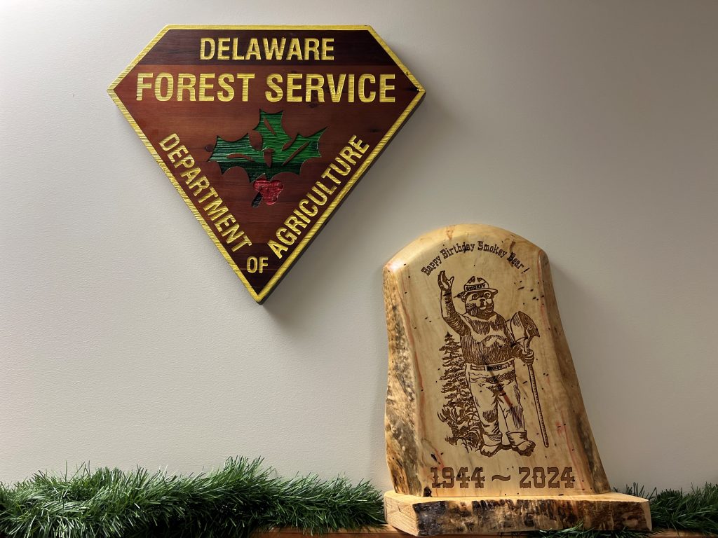 Professionally carved Smokey Bear wooden plaque in honor of his 80th birthday.