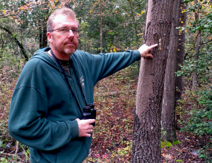 Forest Health Monitoring