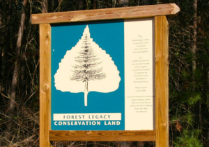 Forest Legacy Sign with wood frame, blue/teal background with a large leaf shape and tree inside. 