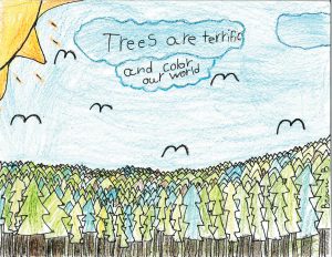 Beau Bowman, Hartly Elementary